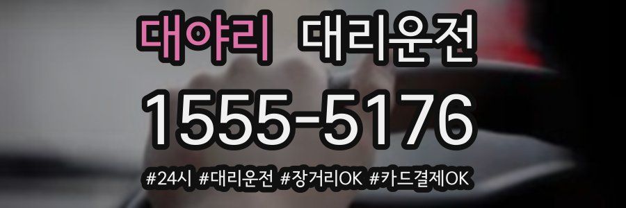 대야리 대리운전