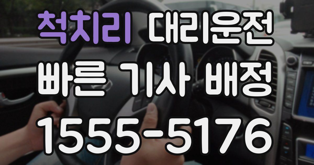 일일대리기사