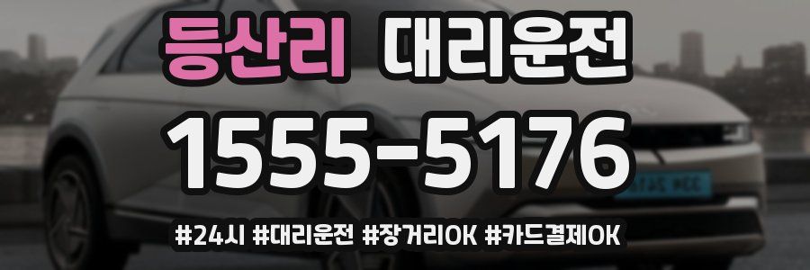 등산리 대리운전