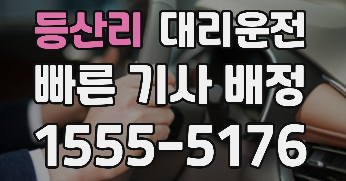 일일대리기사