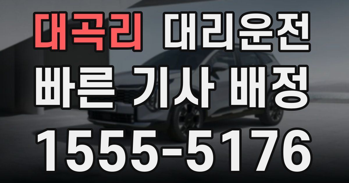 일일대리기사