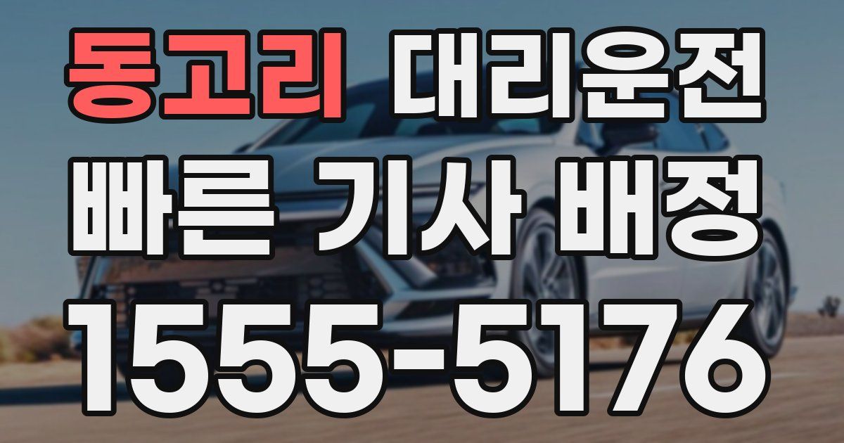일일대리기사