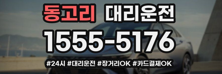 동고리 대리운전