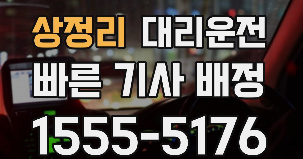 일일대리기사