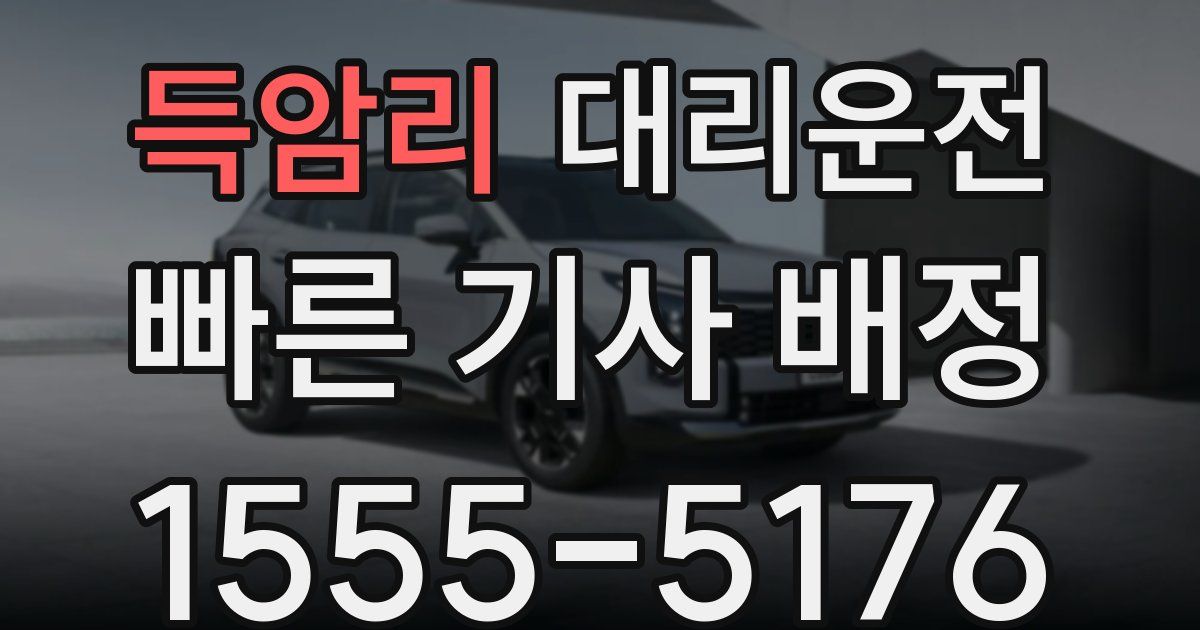 일일대리기사