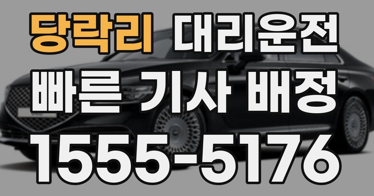 일일대리기사