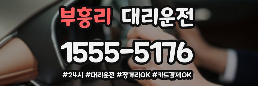 부흥리 대리운전
