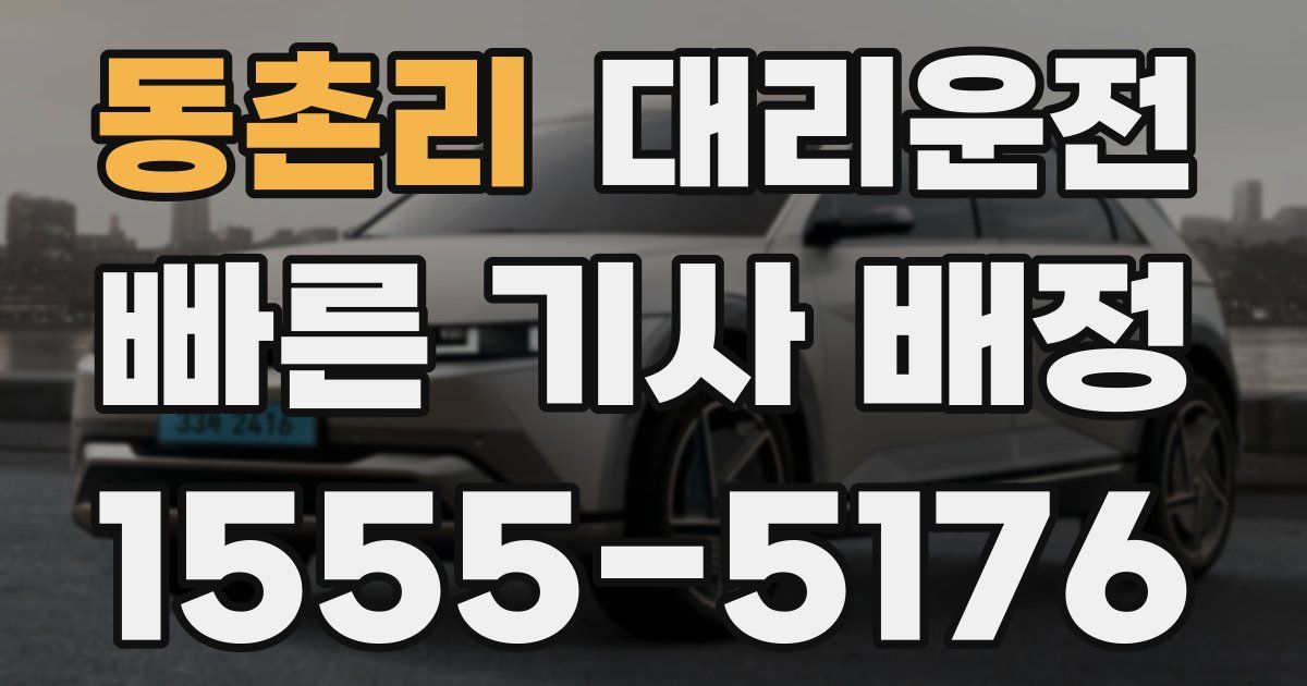 일일대리기사