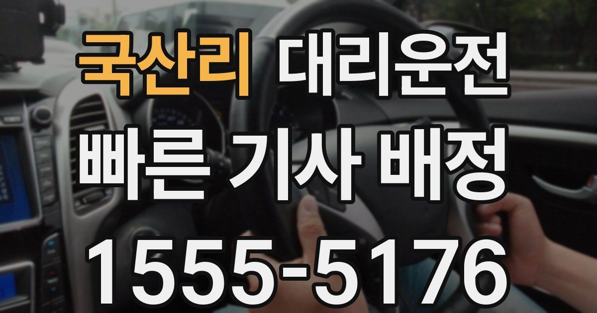 일일대리기사