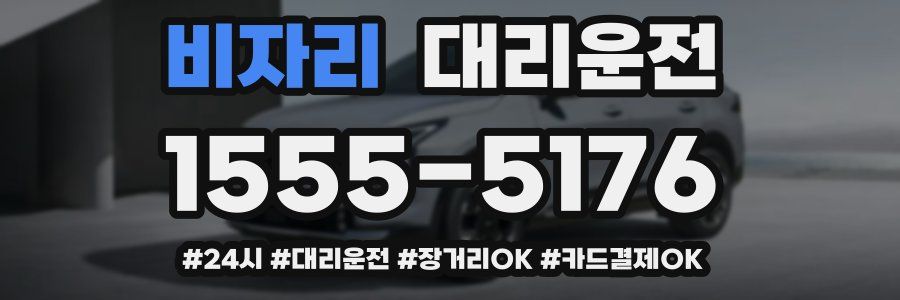 비자리 대리운전