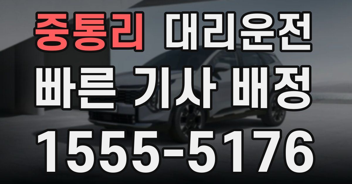 일일대리기사