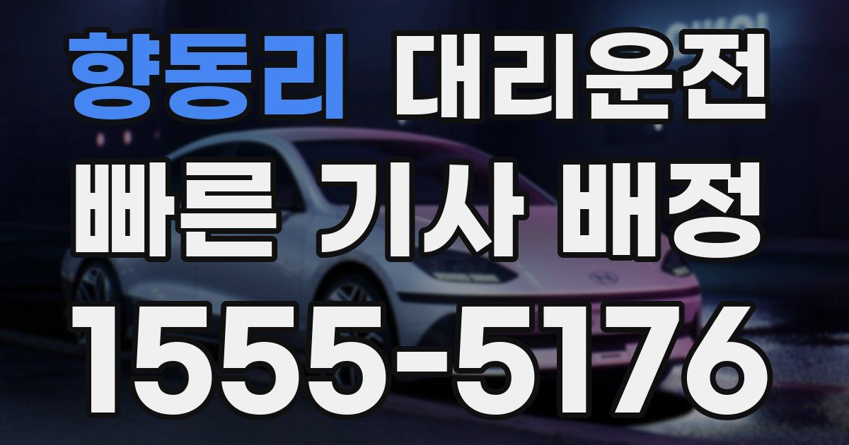 일일대리기사