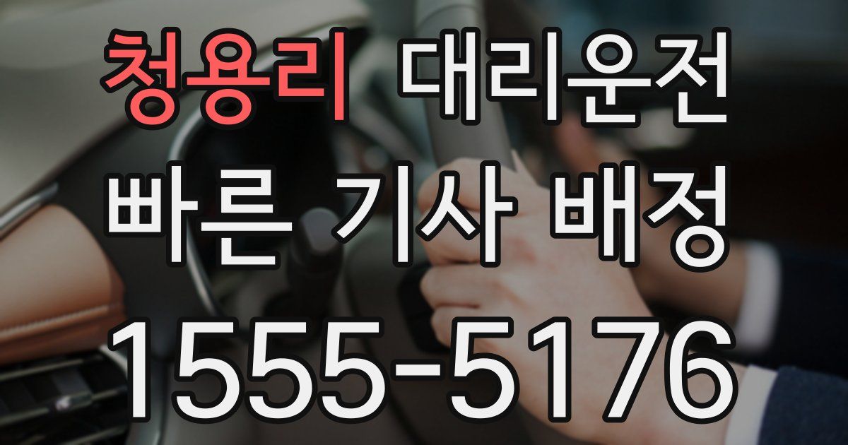 일일대리기사
