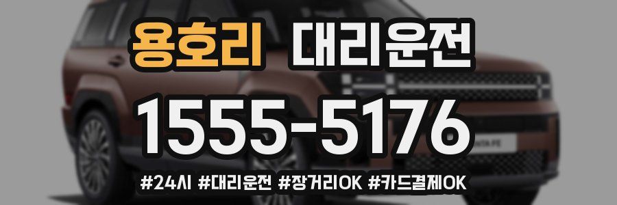 용호리 대리운전