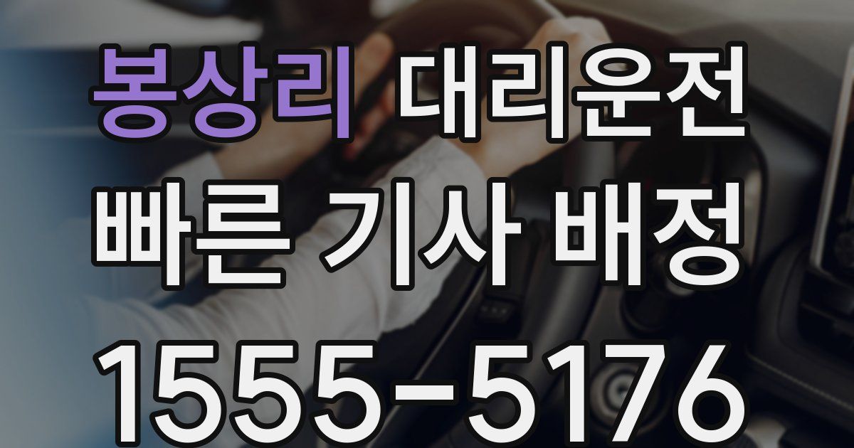 일일대리기사