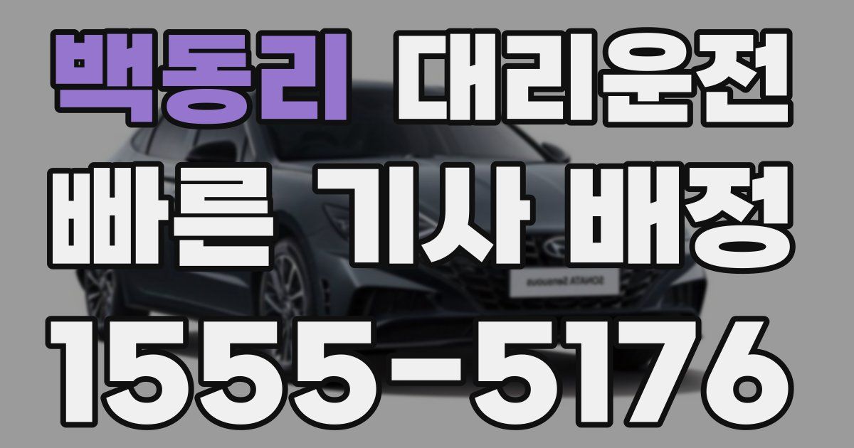 일일대리기사