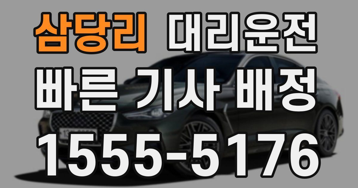 일일대리기사