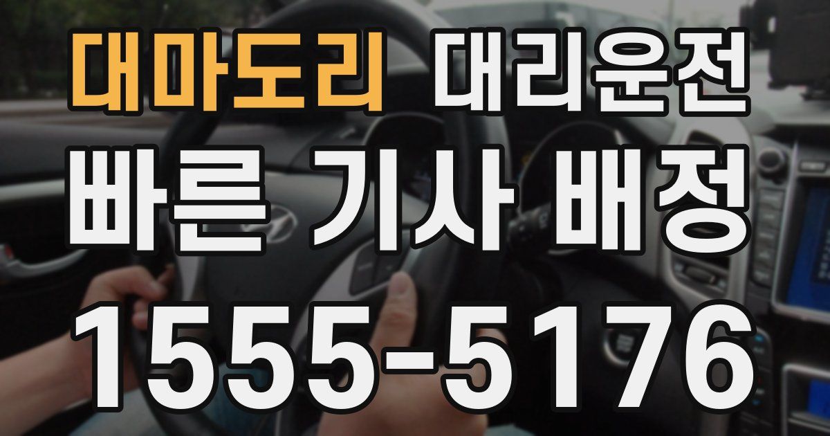일일대리기사