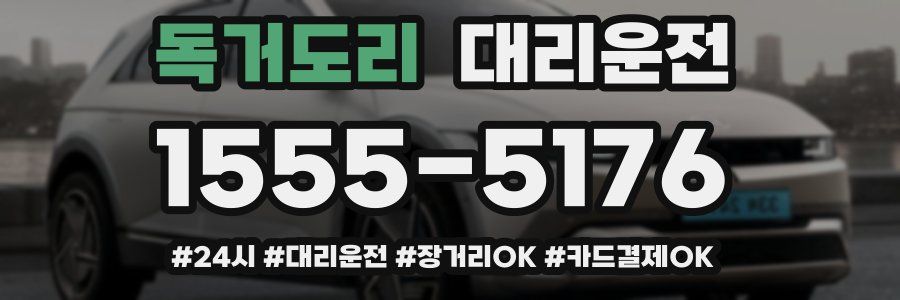 독거도리 대리운전