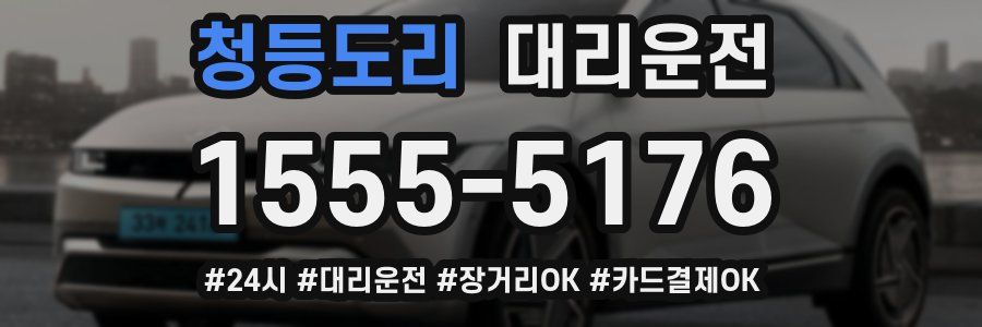 청등도리 대리운전