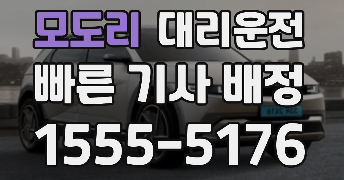 일일대리기사
