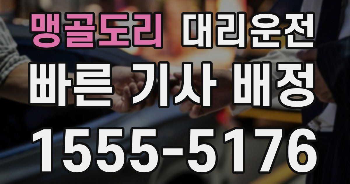 일일대리기사