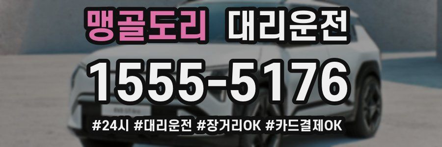 맹골도리 대리운전