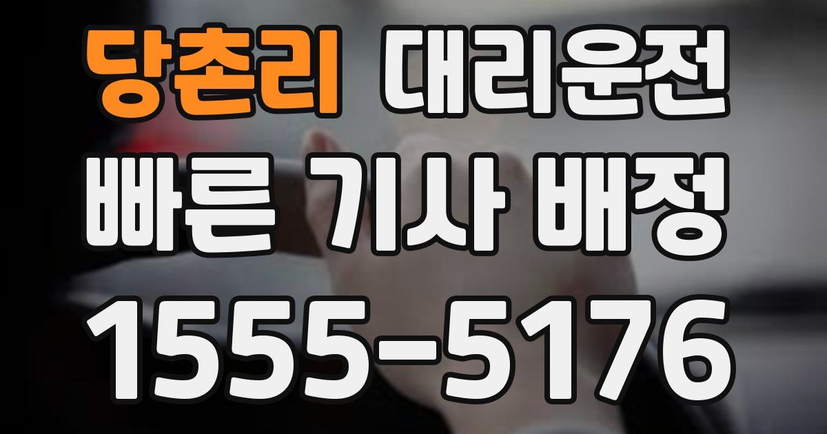 일일대리기사