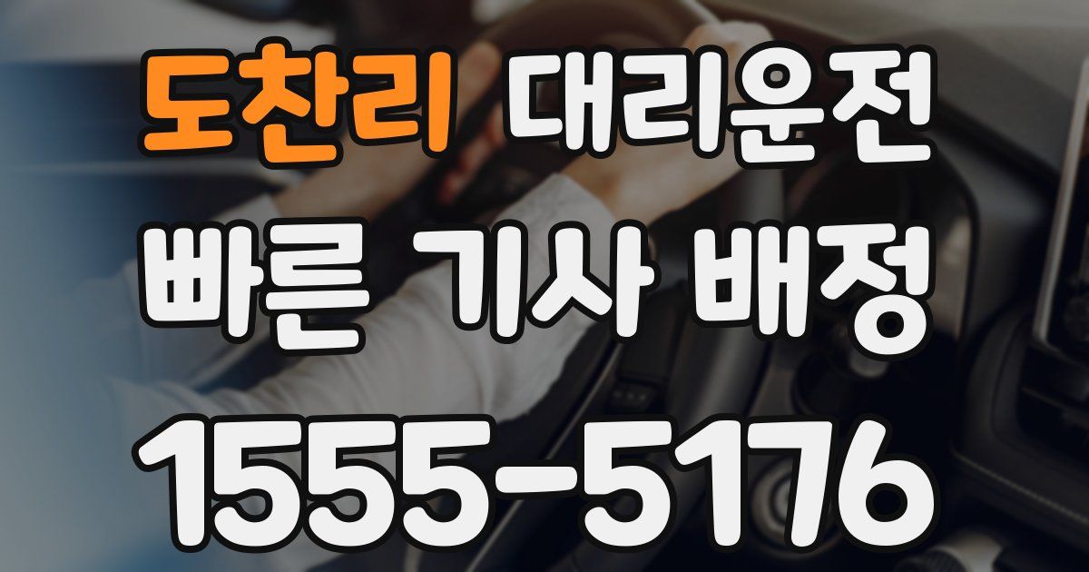 일일대리기사
