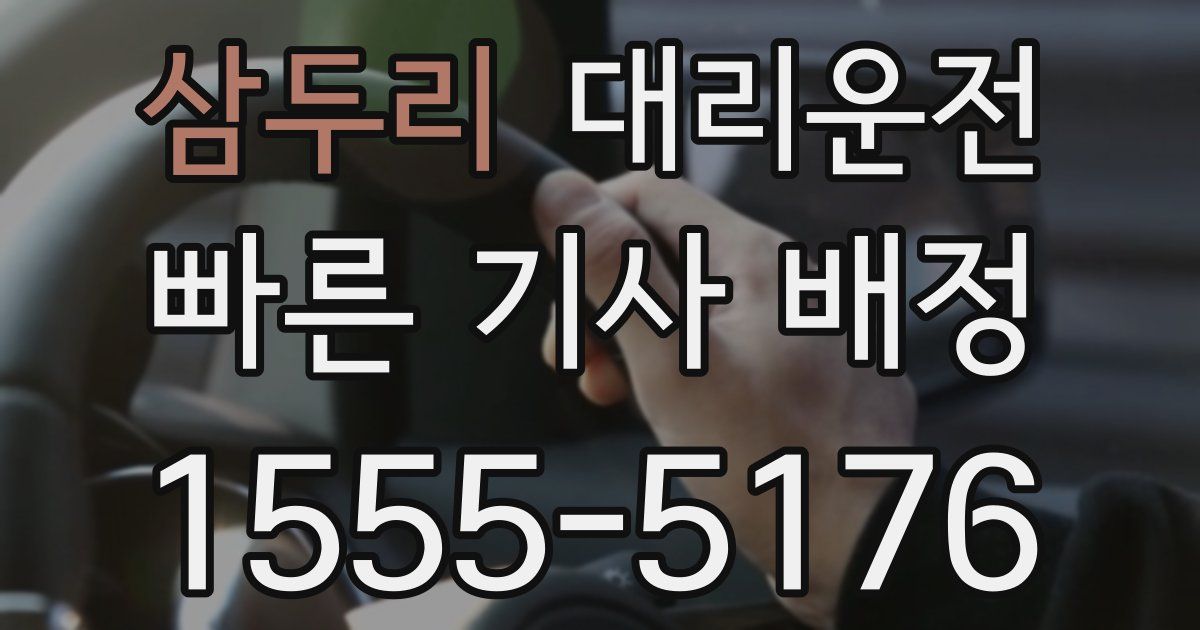 일일대리기사