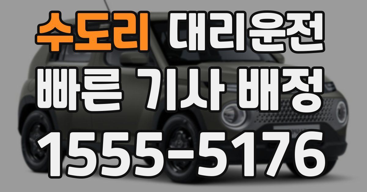 일일대리기사