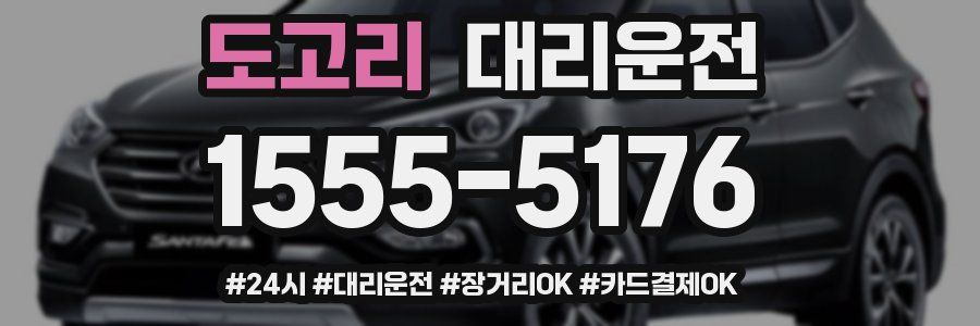 도고리 대리운전