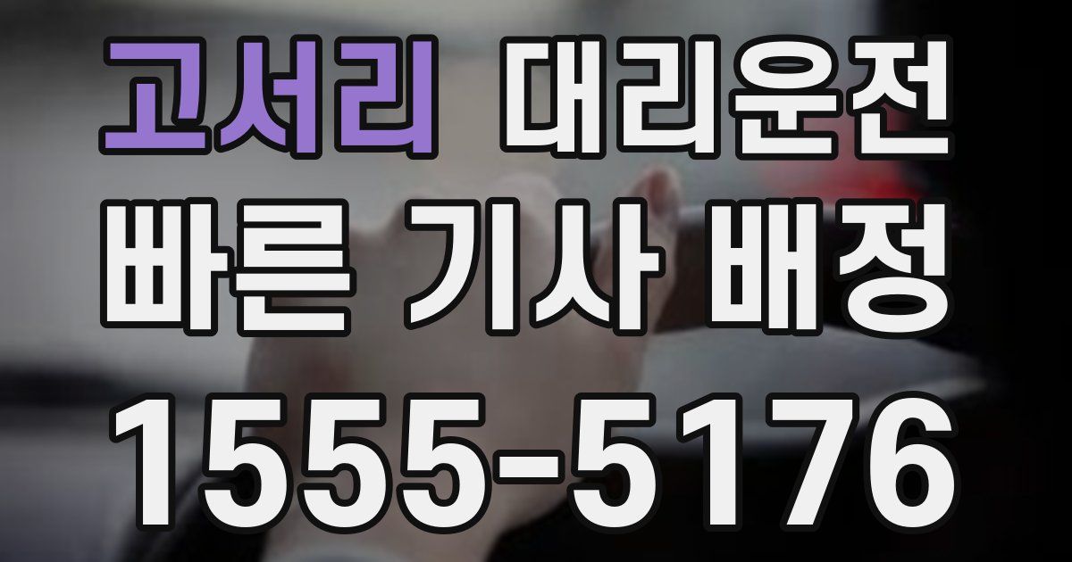 일일대리기사