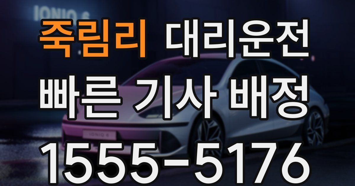 일일대리기사