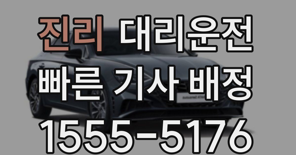 일일대리기사