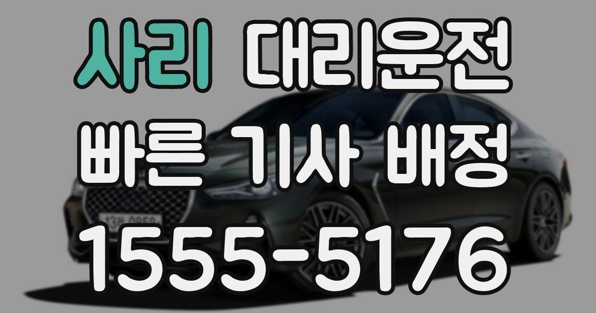 일일대리기사