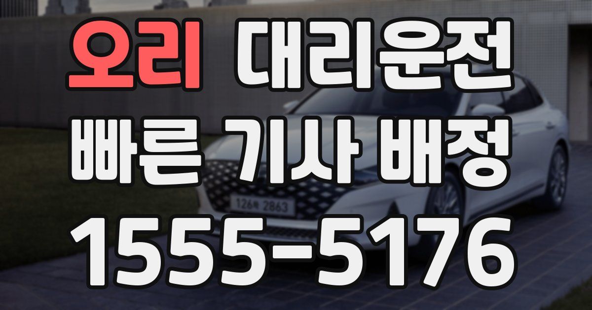 일일대리기사