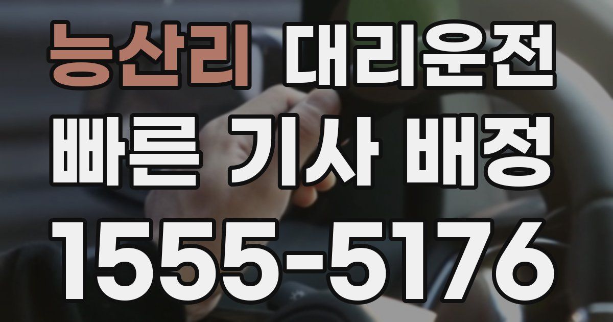 일일대리기사