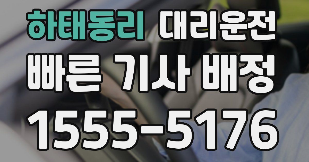 일일대리기사