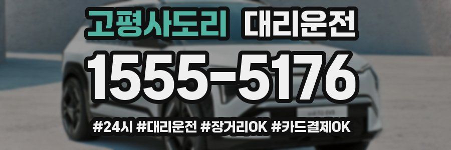 고평사도리 대리운전