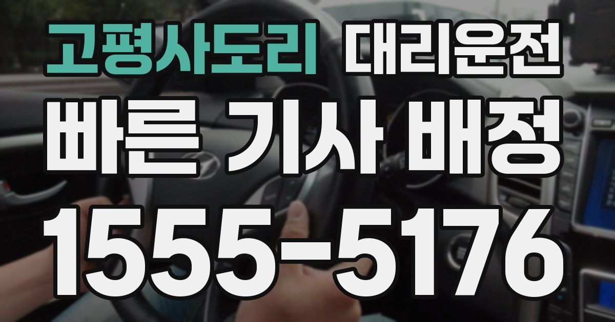 일일대리기사