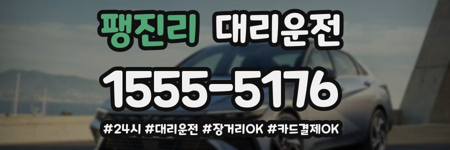 팽진리 대리운전
