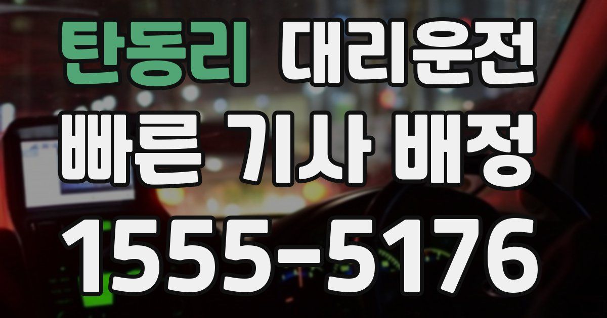 일일대리기사
