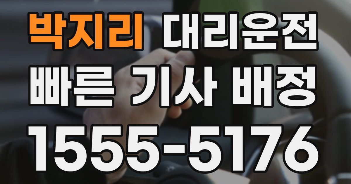 일일대리기사