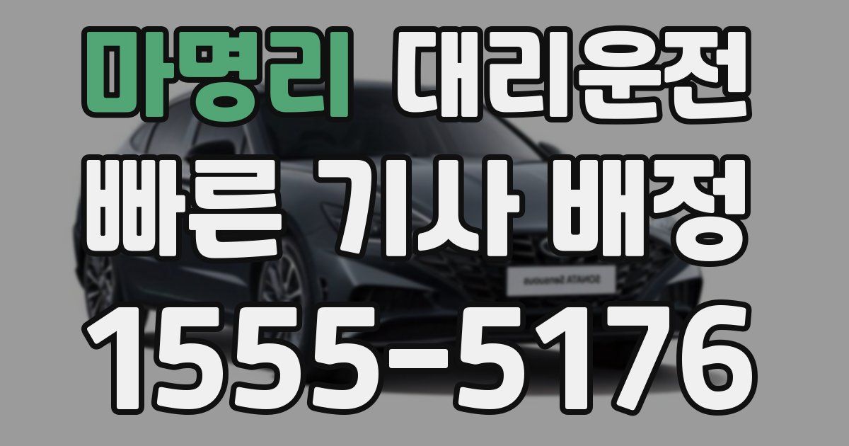 일일대리기사