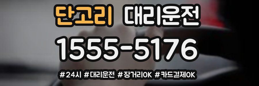 단고리 대리운전