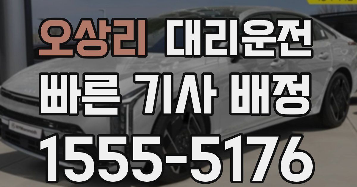 일일대리기사