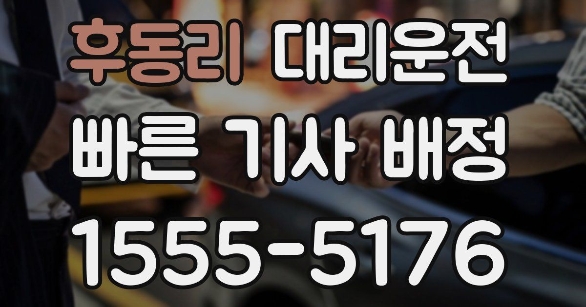 일일대리기사