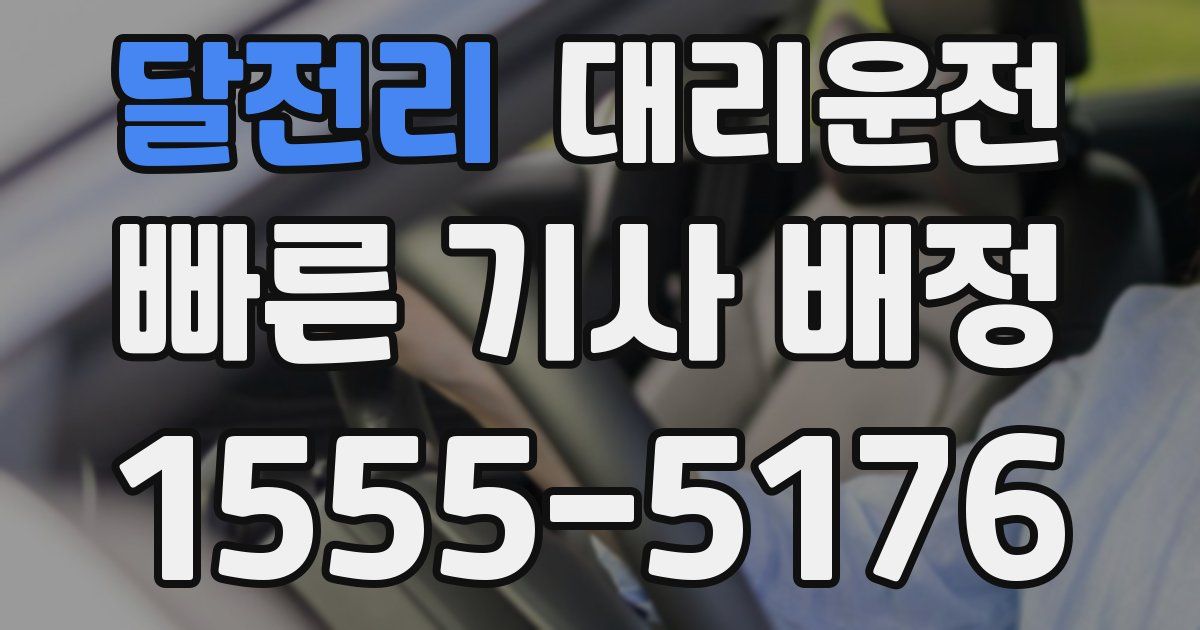 일일대리기사