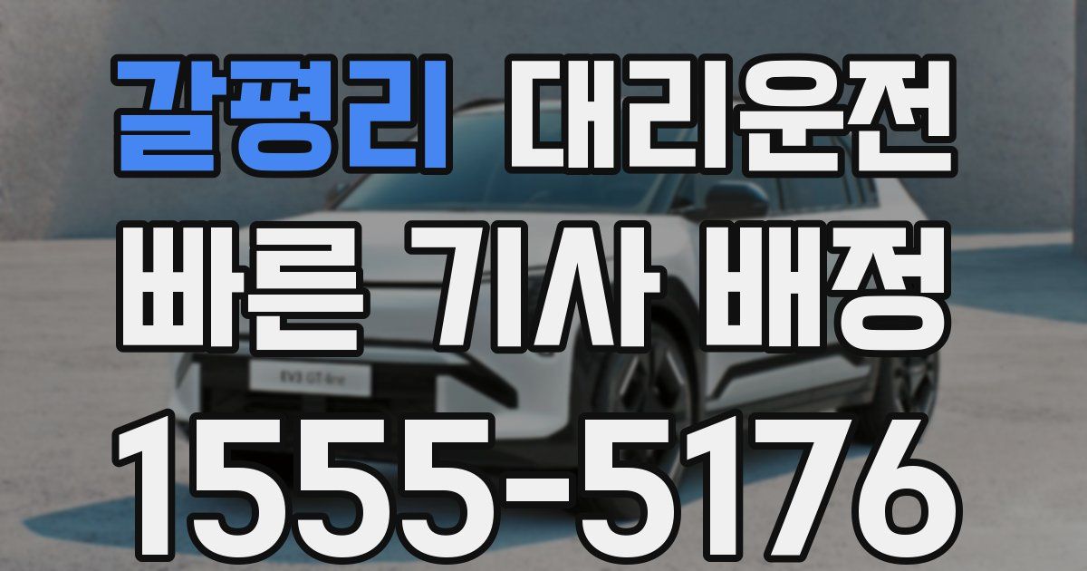 일일대리기사